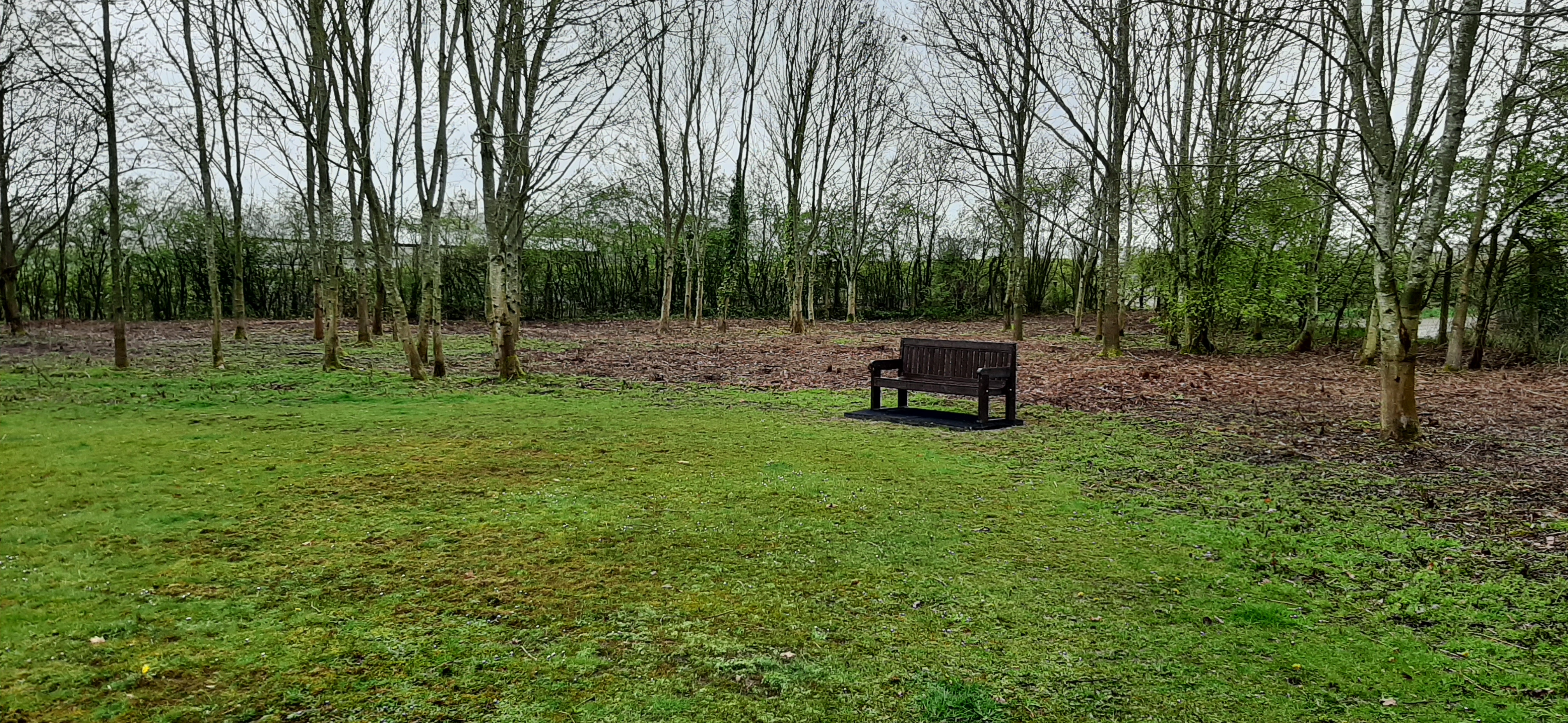 Jubilee recreational area with new bench